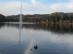 -五营红松林海景区