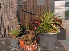 -北马山庄植趣咖啡