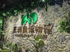 -野象谷景区