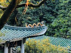 -广州市白云山风景名胜区
