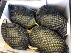 黑金蜜瓜（件）-水果天空(东葛店)