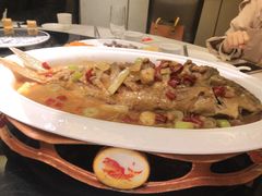 -阿五黄河大鲤鱼(英协路店)