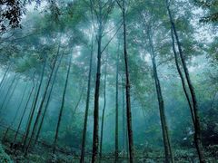 -清江方山景区