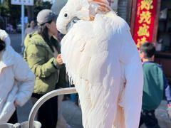-四海楼(如皋定慧禅寺店)