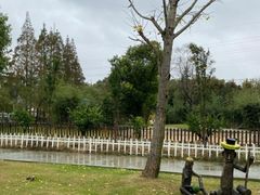 -前小桔亲子创意农场·草莓采摘·露营烧烤