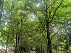 -昆明植物园