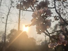 -白塘生态植物园