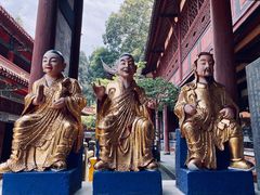 -都江堰普照寺