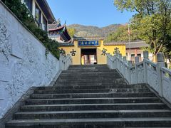 -杭州半山国家森林公园