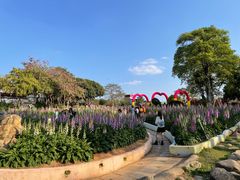 -松山湖梦幻百花洲