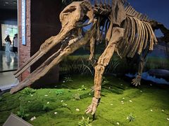 -安徽省地质博物馆