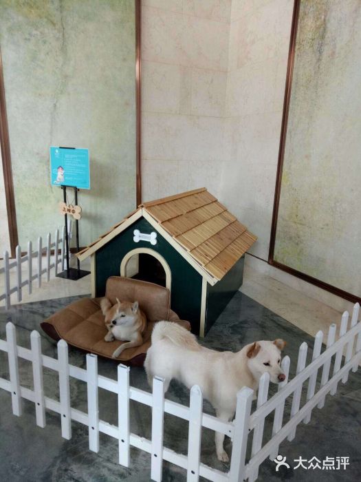 上海崇明金茂凯悦酒店图片