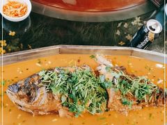 -食家鸽园