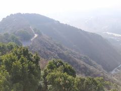 -杭州半山国家森林公园