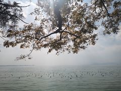 -滇池海埂公园