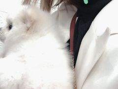 -爱佳宠物中心医院24H·CT·骨外科·猫专科(瑶海万达店)