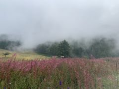 -驼梁风景区