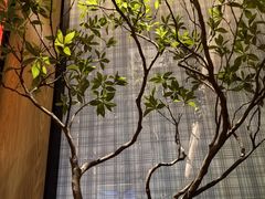 -老城根·潍坊菜(高新店)
