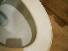 -秦皇岛秦皇国际大酒店