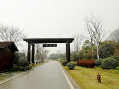 门面-大阳山国家森林公园