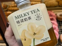 -多乐之日(公益西桥店)