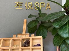 -左悦·艾灸调理·推拿按摩·精油SPA(卓悦汇店)