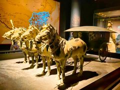 -陕西历史博物馆