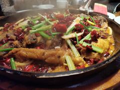 -老板恋上鱼(印象城店)