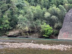 -九曲溪竹筏码头