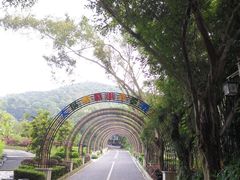 -大屏嶂森林公园