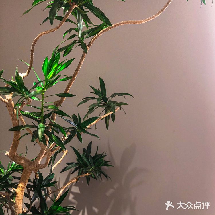 “定格”咖啡时光