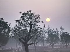 -汉长安城未央宫国家考古遗址公园