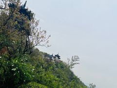 -杭州半山国家森林公园