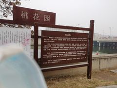 -桃花堤公园