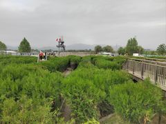 -亲兄弟真人CS团建拓展基地