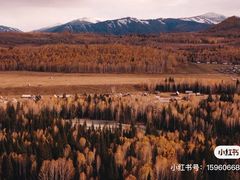 -喀纳斯禾木山庄