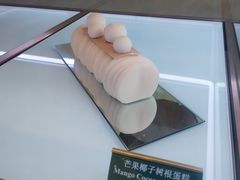 -深圳福田香格里拉大酒店