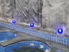 -兴芮温泉度假区