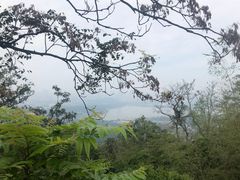 -紫金山山顶公园