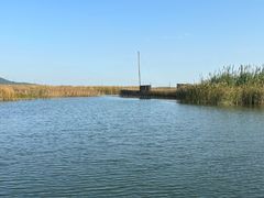 -苏州太湖湖滨国家湿地公园