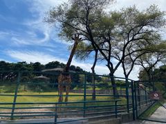 -沈阳森林动物园