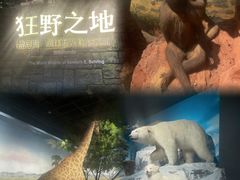 -浙江自然博物院(杭州馆)