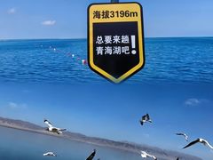 -青海湖国家重点风景名胜区