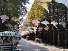 -日照海滨国家森林公园