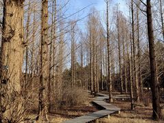 -国家植物园南园