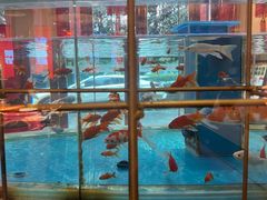 -辣得叫湘菜(四明店)