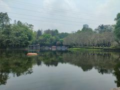 -晓港公园