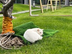 -陆家嘴世纪金融广场