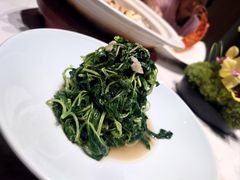 -新光酒家·河豚·海鲜·蟹料理(浦东店)