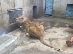 -西安秦岭野生动物园